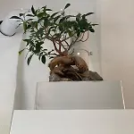 דירה Charmante Altbauwohnung