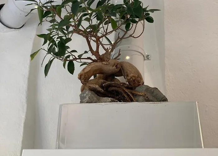 Daire Charmante Altbauwohnung