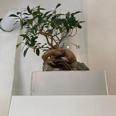 דירה Charmante Altbauwohnung